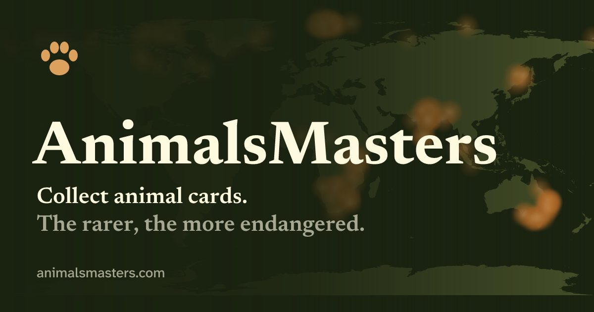 AnimalsMasters - Casual